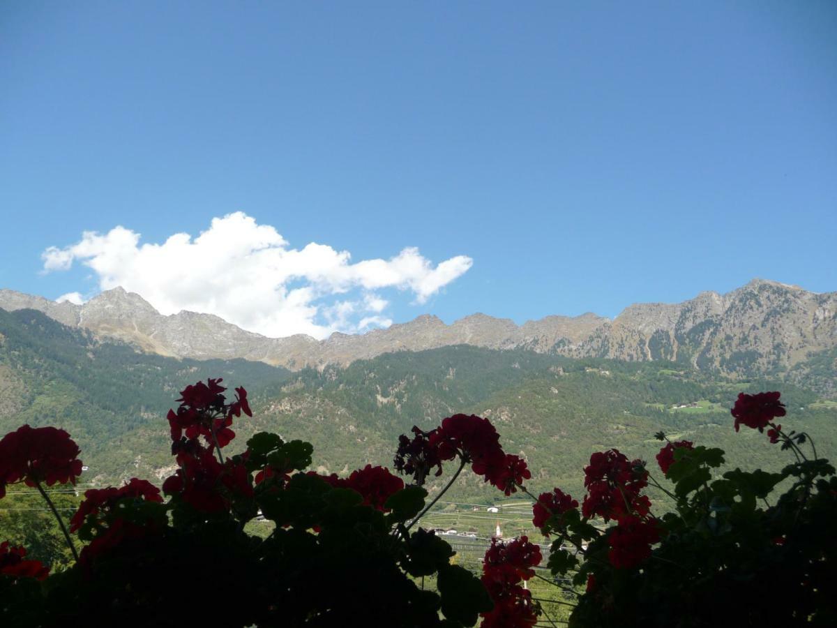 Ferienwohnungen Obermoarhof Lagundo Esterno foto